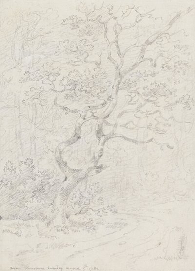 Træer, nær Lausanne af Sir George Howland Beaumont seventh Baronet