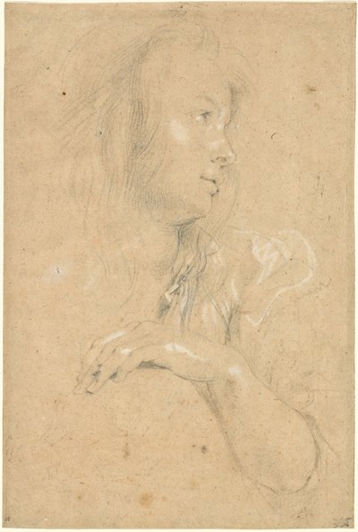 Ung kvinde i profil af Sir Peter Paul Rubens
