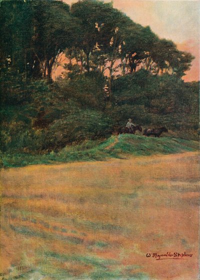 En undersøgelse, c1900 1903-1904 af Sir William Reynolds Stephens