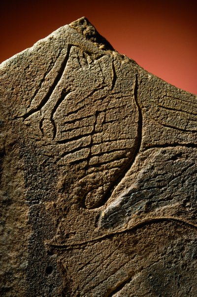 Elegant indgravering af en menneskeprofil fundet på en forhistorisk kalkstenscache. af Sisse Brimberg