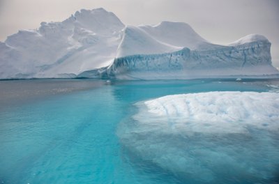Isbjerge flyder på den antarktiske halvø, 2022 (foto) af Sisse Brimberg