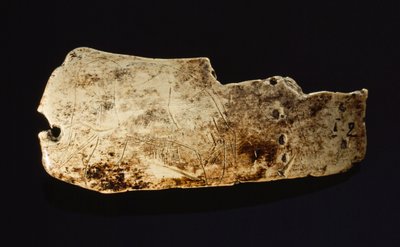 Billedet af en mammut er udskåret i forhistorisk mammut-elfenben. af Sisse Brimberg