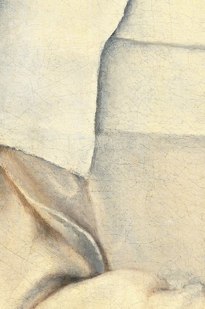 Portræt af kunstnerens søster af Sofonisba Anguissola