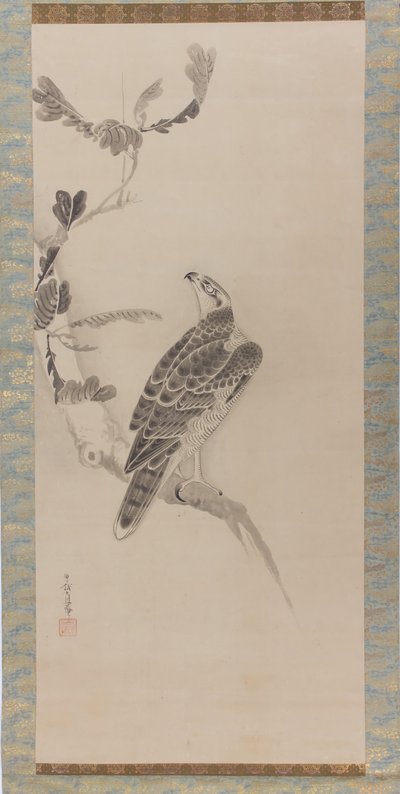 Hawks Taka zu, midten af det 17. århundrede. af Soga Nichokuan
