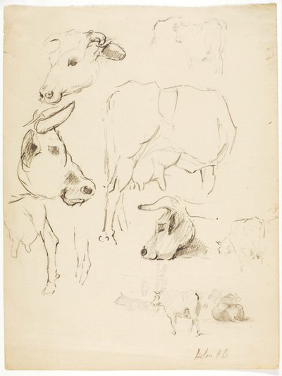 Køer af Solon H. Borglum