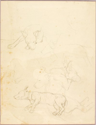 Hunde af Solon H. Borglum