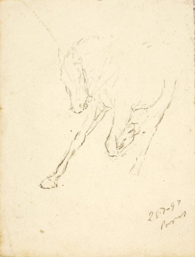 Hest af Solon H. Borglum
