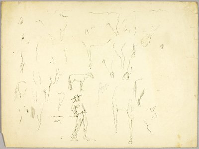 Undersøgelse af heste af Solon H. Borglum