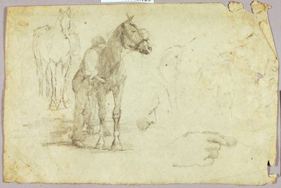 Hest og rytter af Solon H. Borglum