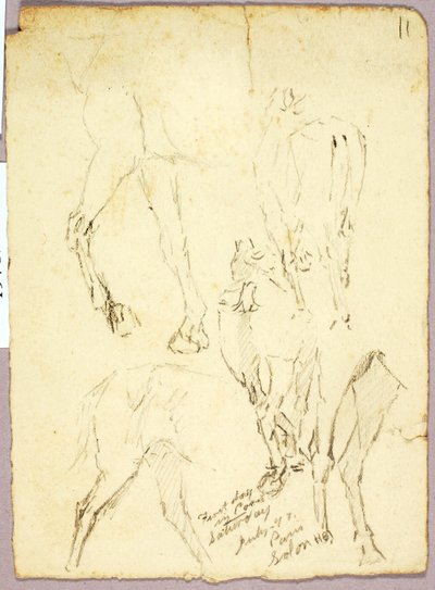 Heste af Solon H. Borglum