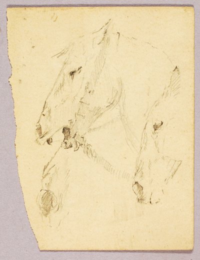 Hestehoveder af Solon H. Borglum