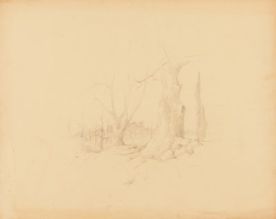 Landskab af Solon H. Borglum
