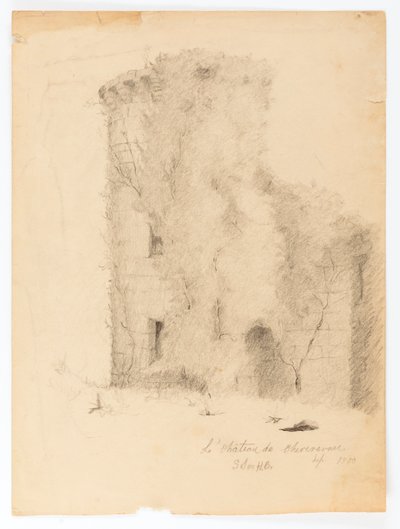 Le Chateau de Chevenevase af Solon H. Borglum