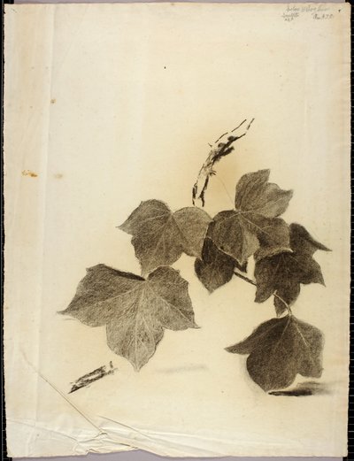 Bladene af Solon H. Borglum