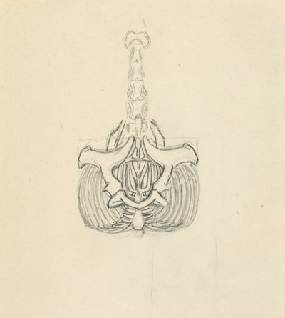 Bækken af Solon H. Borglum