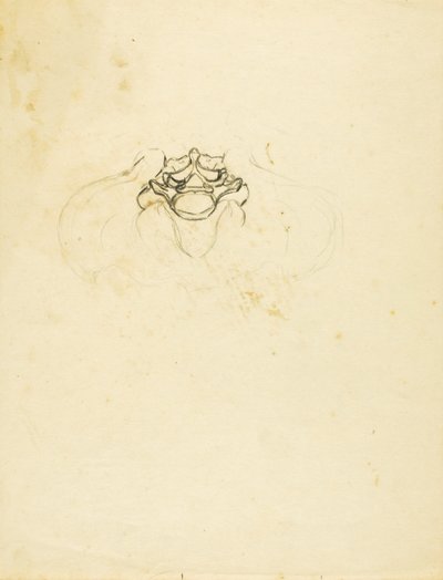 Bækken af Solon H. Borglum