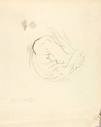 Svømmer af Solon H. Borglum