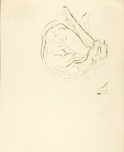 Svømmer af Solon H. Borglum