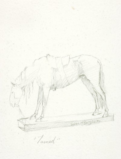 Tæmmet af Solon H. Borglum