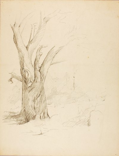Uden titel af Solon H. Borglum