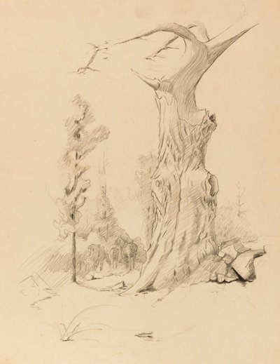 Uden titel af Solon H. Borglum