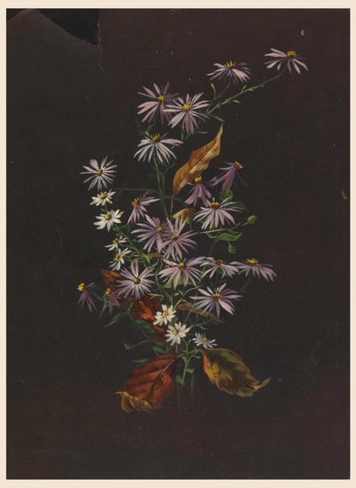 Efterårsbuket, ca. 1890 af Sophia L. Crownfield