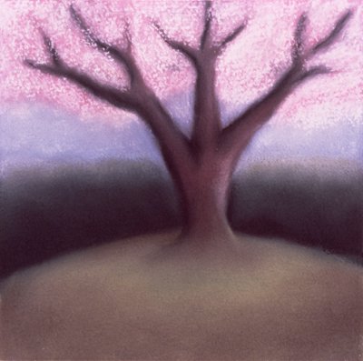 Blossom Tree (pastel på håndlavet papir) af Sophie Hacker