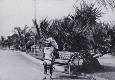Kørsel i Rickshaws ved Bay Esplanade, Durban (eller/og foto) af South African Photographer