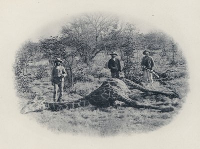 Storvildtjagt i Transvaal (s/h-billede) af South African Photographer