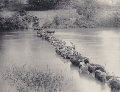Hvordan floder krydses i Transvaal (s/h foto) af South African Photographer