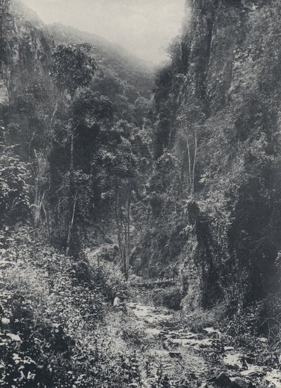 Scene nær Pilgrims