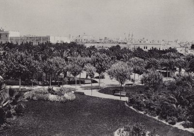 Cadiz: Parque Genoves (s/h-billede) af Spanish Photographer