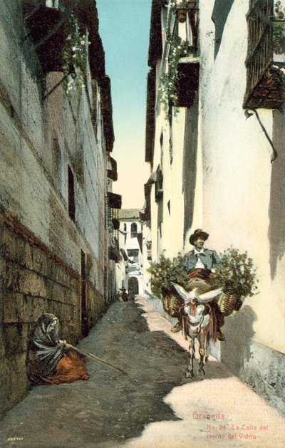 Granada, La Calle Del Horno Del Vidrio, Spanien (farvefoto) af Spanish Photographer