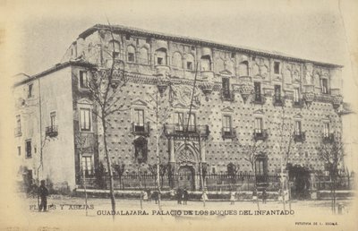 Palacio del Infantado, Gudalajara, Spanien (s/h-foto) af Spanish Photographer