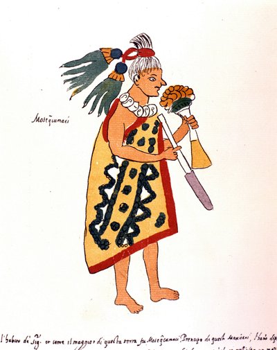 Aztekisk præst i Codex Vaticanus 3738 (Codex Vat. Rios). Faksimile af manuskriptet af dominikaneren Pedro de los Rios, mellem 1570 og 1589, Bibl. Vatikanet. af Spanish School