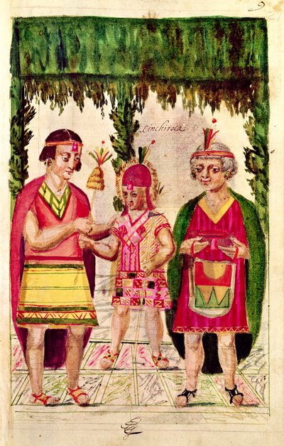Illustration af Cincheroca, fra 
