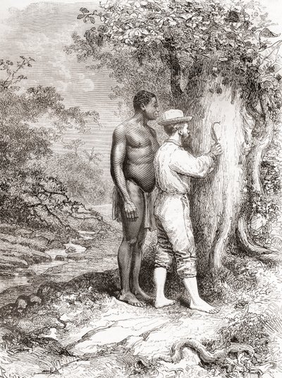 Jules Crevaux skar under sin udforskning af Fransk Guyana i 1878 sine initialer på et træ på bredden af Oyapock- eller Oiapoque-floden af Spanish School