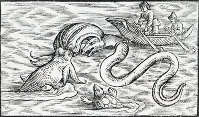 Sømonstre, 1511 af Spanish School
