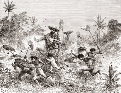 Édouard François André fanger sommerfugle i Villavicencio, Venezuela under sin botaniseringsekspedition ved foden af Andesbjergene i 1875-76 af Spanish School