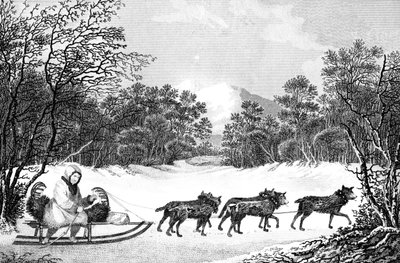 Den måde at rejse om vinteren i Kamtschatka, 1800-tallet. af Sparrow