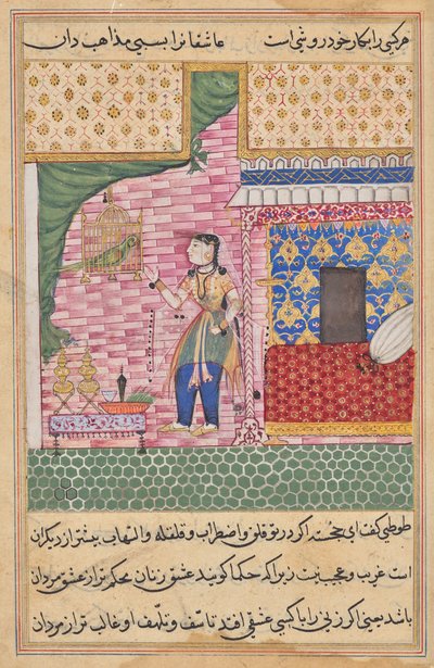 Papegøjen henvender sig til Khujasta i begyndelsen af den syttende nat, fra en Tuti-nama (Fortællinger om en papegøje) af Sravana