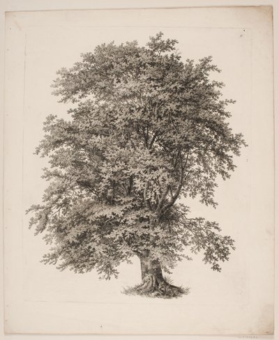 "Studier efter Naturen med Hensyn til Landskabstegning af S.H. Petersen", nr. 2 af Søren Henrik Petersen