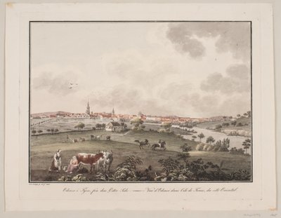 Odense på Fyn, fra den østlige side af Søren L. Lange