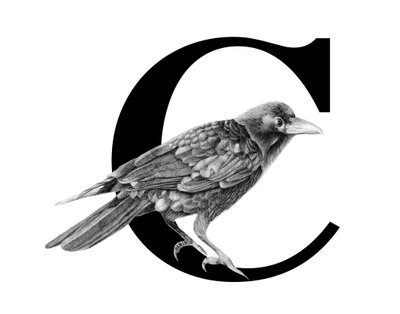 C står for Crow, 2018 (grafitblyant  digital) af Stacy Hsu