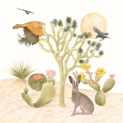 Mojave-ørkenen, 2021 (grafitblyant  digital) af Stacy Hsu