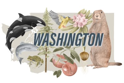 Washington State Symbols, 2018 (grafitblyant  digital) af Stacy Hsu