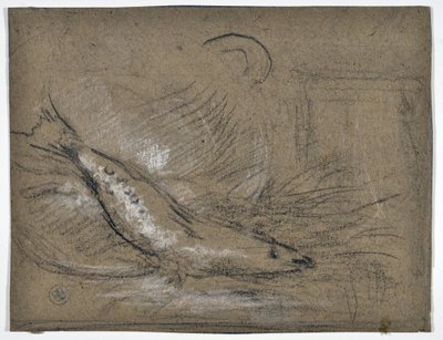 Fiskestudie (tegning) af Stanislas Torrents y de Amat