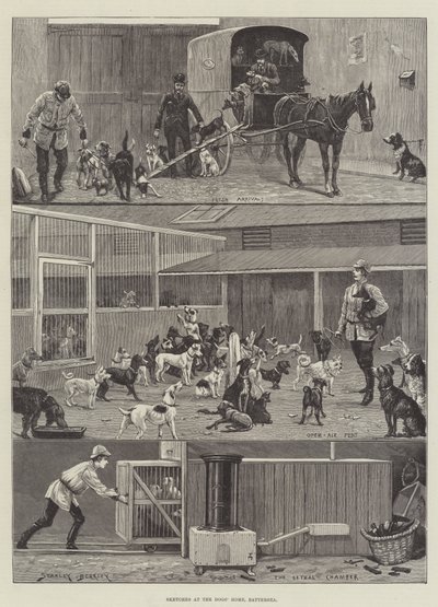 Skitser i Hundehjemmet, Battersea af Stanley Berkeley