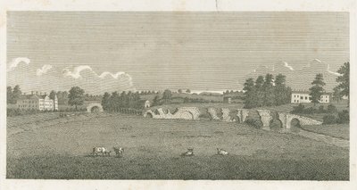 Wolseley Bridge: gravering af Stebbing Shaw