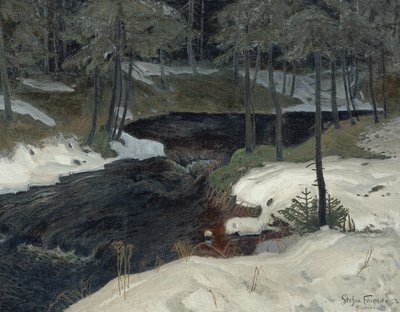 Bergstrøm af Stefan Filipkiewicz